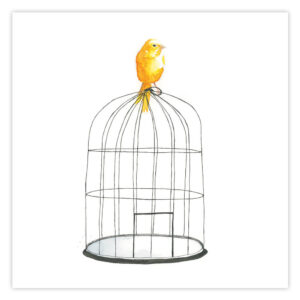 Reproduction aquarelle oiseau sur cage