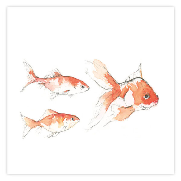 Reproduction aquarelles poissons rouges